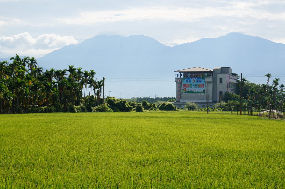 The Place Where Lives Turn: Nan Jung alumni