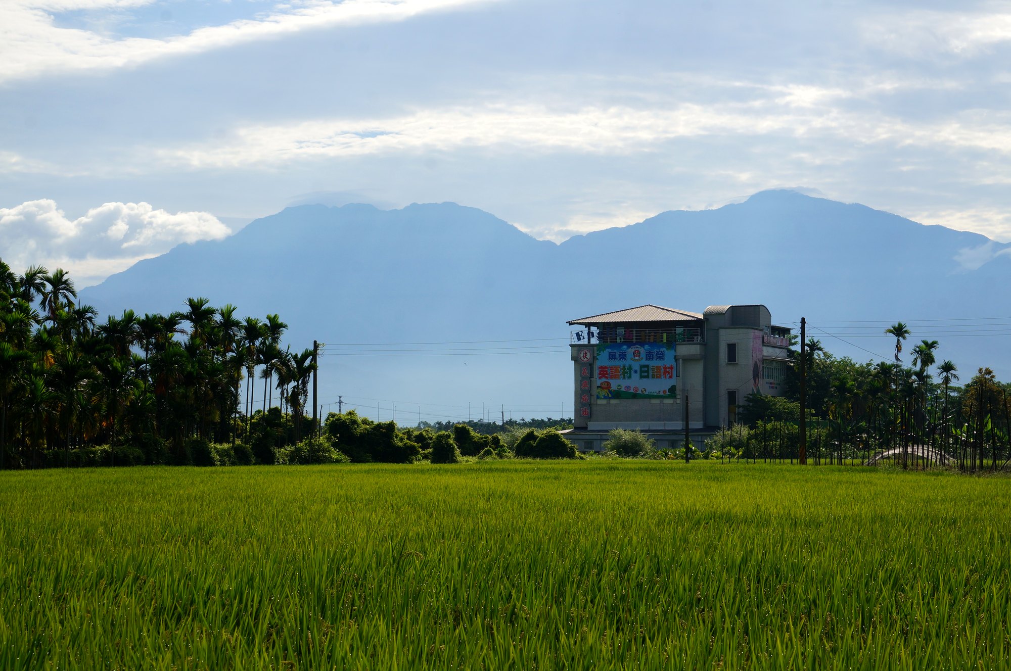 Nan Jung set against the rice fields and Dawu Mountain