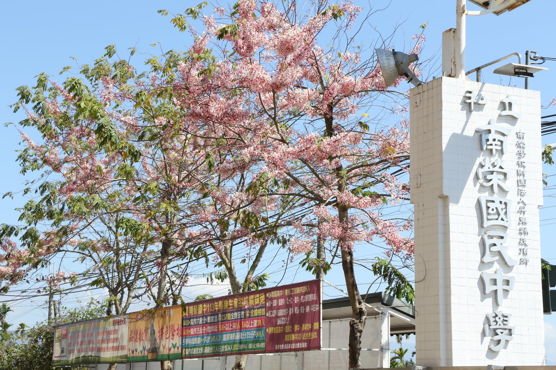 Blossoms by the Nan Jung name monument